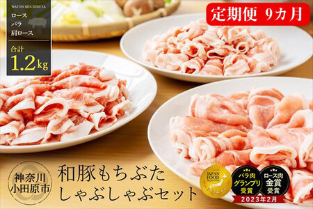 【定期便9ヵ月】 和豚 もちぶた しゃぶしゃぶ セット 合計1.2kg（ロース・バラ・肩ロース）【ポーク 豚バラ 豚ロース 豚しゃぶ しゃぶしゃぶ肉 豚肉 贈答品 贈答用 ギフト お取り寄せ 御中元 お中元 お歳暮 贈り物 神奈川県 小田原市 ポーク】