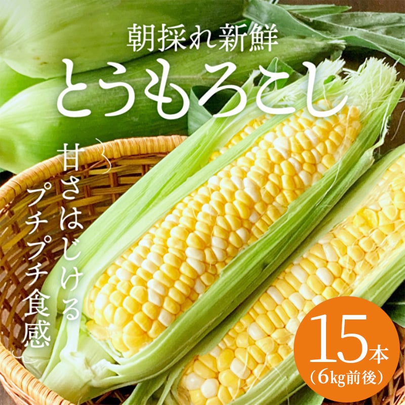 
朝どり とうもろこし 15本（6kg前後）よしよし畑 農家直送
