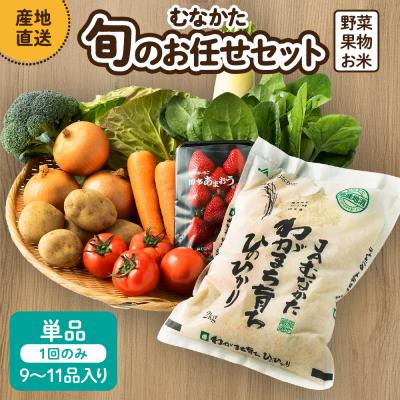 ふるさと納税 宗像市 【9〜11品】むなかた旬のお任せセット(野菜・フルーツ・お米)【JAほたるの里】_HA0263