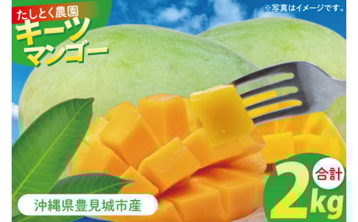 【2025年8月より順次発送】沖縄県豊見城市産キーツマンゴー 約2kg｜マンゴー キーツマンゴー フルーツ くだもの 果物 数量限定 おきなわ 沖縄 沖縄フルーツ 沖縄県 豊見城市(DJ003)