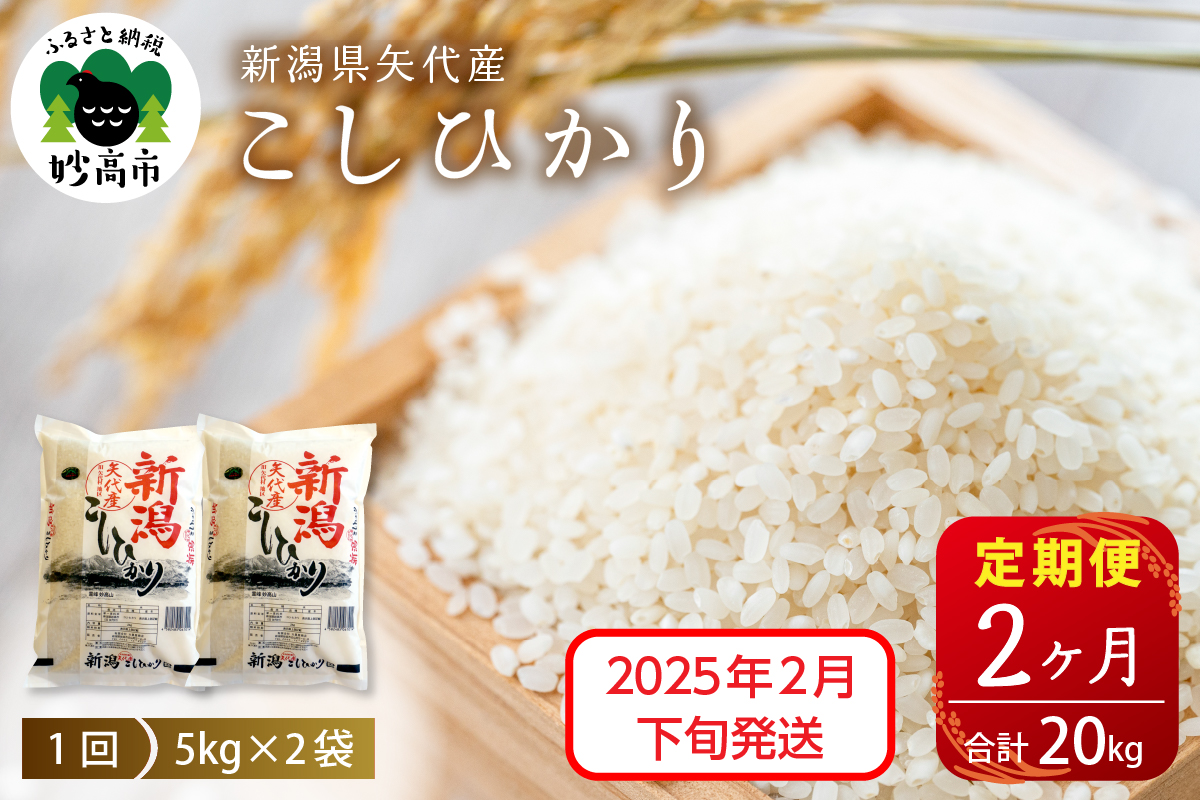 【2025年2月下旬発送】【定期便】令和6年産 新潟県矢代産コシヒカリ10kg(5kg×2袋)×2回（計20kg）