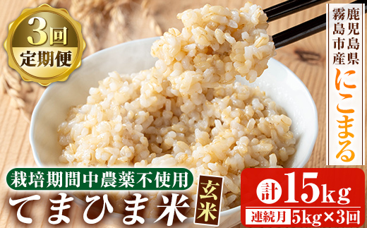 K-391-E 【3回定期便】《令和6年産》てまひま米・玄米(品種：にこまる)(計15kg：5kg×3回)【末蜜農園】霧島市 お米 玄米 米 こめ コメ ご飯 ごはん 定期便 栽培期間中農薬不使用