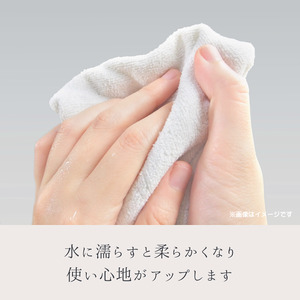 カウンタークロス グレー (不織布ふきん)