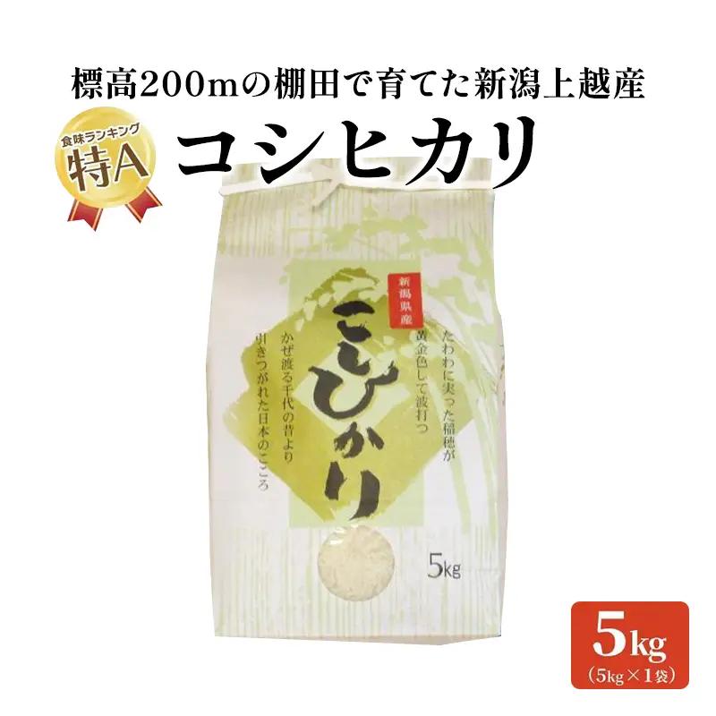 コシヒカリ 棚田米 精米 5kg 上越市中郷産 コシヒカリ