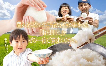 令和7年産 野根川米 10kg 米 国産 コメ【NO002】