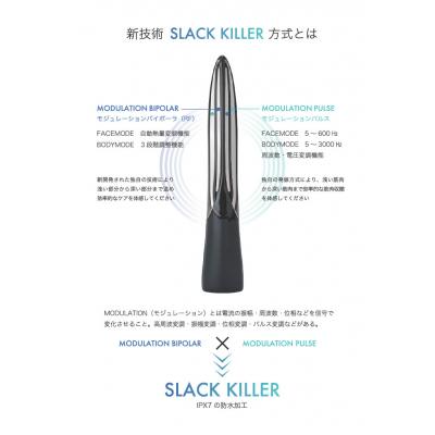 ふるさと納税 甲府市 「造形美」美顔器　LINKS　パイラナイト |  | 03