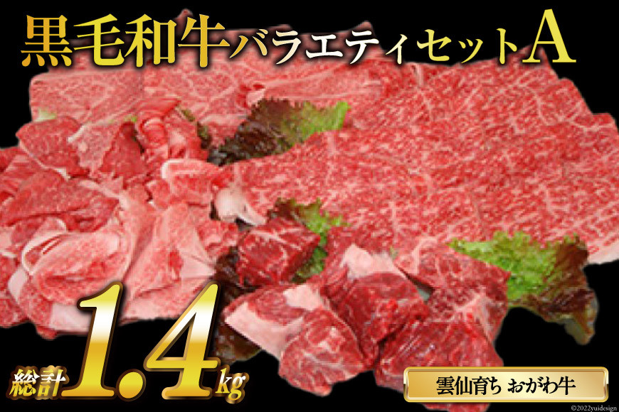 
            雲仙育ち おがわ牛 バラエティーセットA（A4～A5ランクのみ使用）[焼肉おがわ 長崎県 雲仙市 item2105]
          