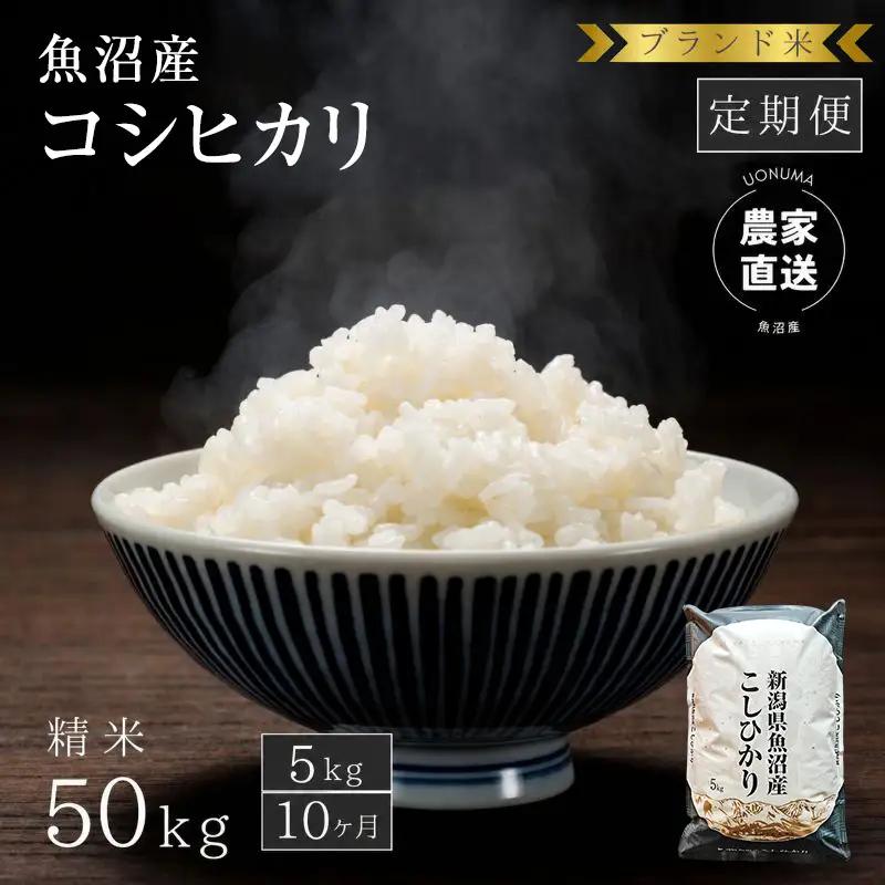 【定期便：精米5kg×10ヶ月】ブランド米    魚沼産コシヒカリ 米 こしひかり 新潟 定期