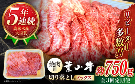 【全3回定期便】【葉山牛】750g　焼肉用ミックス（ロース、モモ、カルビ等） ／ 牛肉 黒毛和牛 神奈川県 特産品【葉山牛ステーキレストラン 角車】[ASBD031]