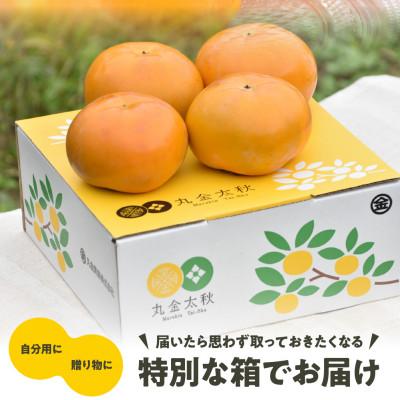 ふるさと納税 本巣市 《黄色くても食べ頃!》丸金太秋1kg(3〜5個入り)【一口噛めば果汁がしたたるジューシーな甘柿!】 |  | 03