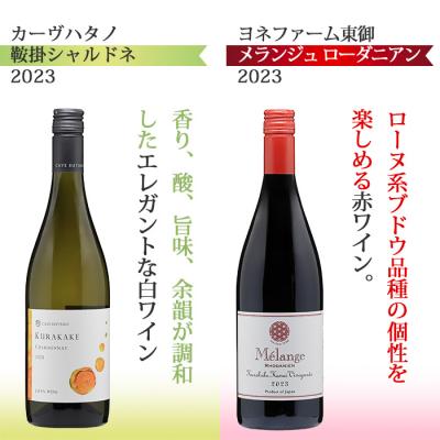 ふるさと納税 東御市 東御ワイン 赤白ワイン バラエティ6本セット |  | 02