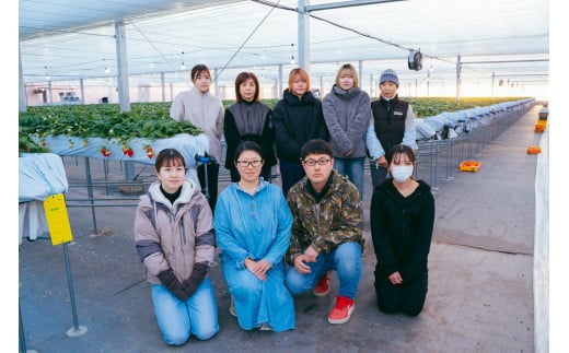 母の日 いちご やよいひめ 約800g 群馬県いちご品評会最高金賞｜ 母の日 朝採れ やみつき高品質 たっぷり 贈答用 新鮮 完熟 いちご 旬 苺 ストロベリー 高級 大粒 産地直送 果汁 甘い あま