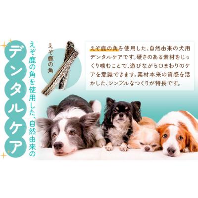 ふるさと納税 日高町 ペットのデンタルケア えぞ鹿の角 Sサイズ 株式会社K《30日以内に出荷予定(土日祝除く)》 |  | 01