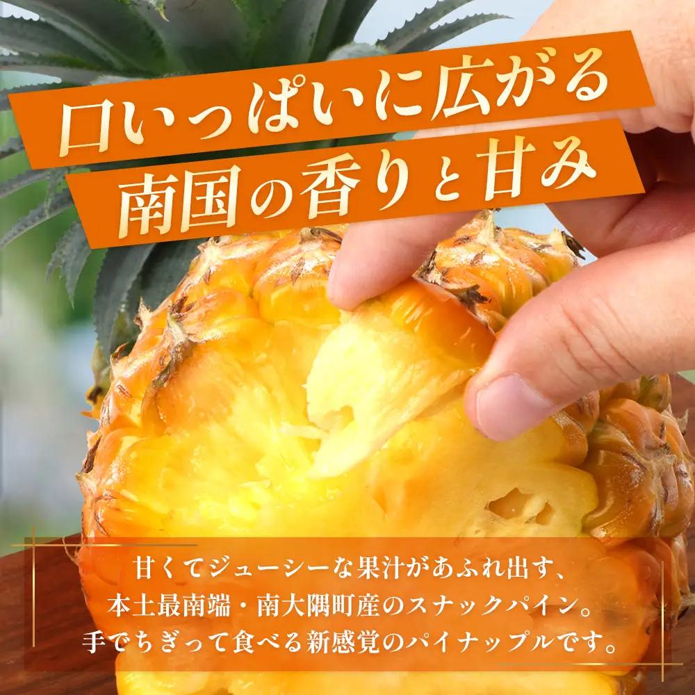 【先行受付】パイナップル/ボゴール種 (約800g×2玉) ≪2026年7月下旬以降順次発送≫ DS-004 ｜パイン パイナップル パインアップル フルーツ ボゴールパイン スナックパイン 産地直送