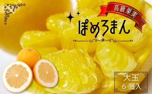 高級 果実 「大玉」ぽめろまん 6個入り【 数量限定 】 フルーツ 柑橘 柑橘類 果物
