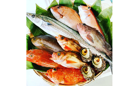 【期間限定】京都府宮津市産『朝どれ！山一鮮魚おおきに便』約4～5kg 魚介類 セット 産地直送 鮮魚 内臓処理加 鮮度抜群 冷蔵 詰め合わせ 未加工