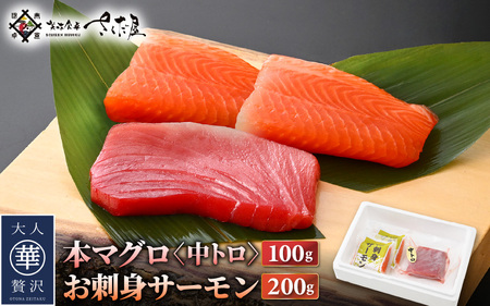 お刺身 セット サーモン 100g × 2P ＆ 本まぐろ 中トロ 100g ×1P【福井県 冷凍 小分け 刺身 鮭 サケ 鮪 】 [e04-a089]