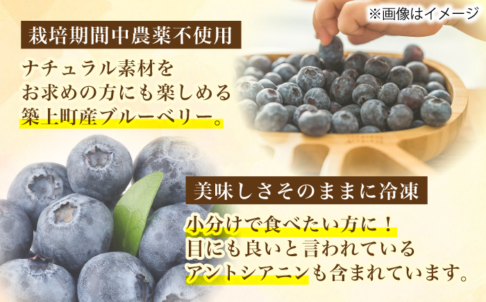 【先行予約受付中】築上町産 冷凍 ブルーベリー 1kg 【2025年9月以降順次発送】《築上町》【(有)工房よしかわ】国産 ブルーベリー [ABAK001] 13000円 1万3千円