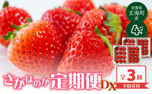 ★予約受付★【配送時期が選べる】佐賀県玄海町産「さがほのかDX」毎月定期便