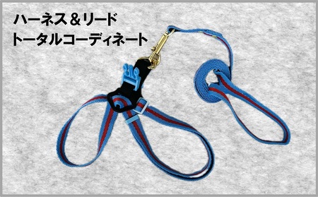 トイプードル向けハーネス＆リード(カラー：青赤青)【001-018-6】