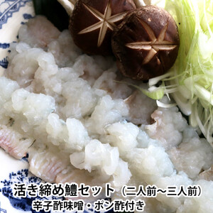 【先行予約】活き締め鱧（はも）セット（二人前～三人前）辛子酢味噌・ポン酢付き 湯引き 鱧しゃぶ