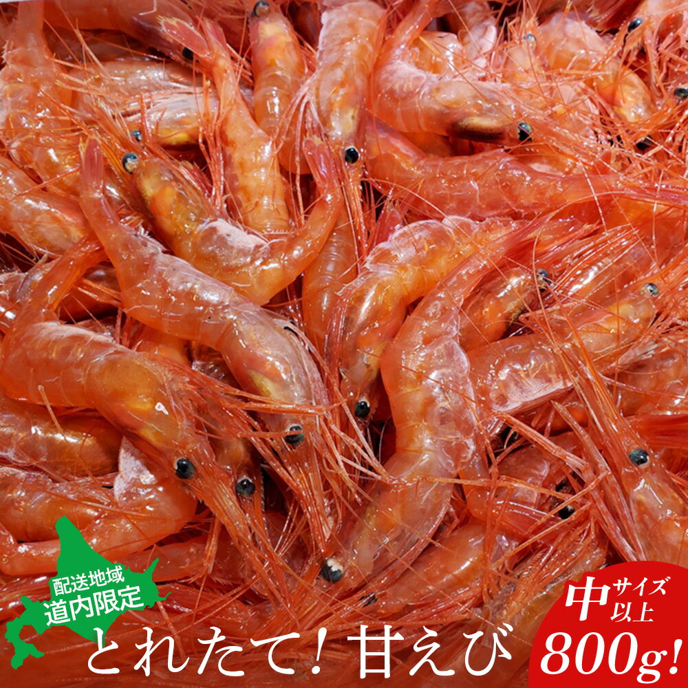 【ふるさと納税】【配送地域・道内限定】とれたて！甘えび800g（中サイズ以上）【06112】