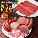 【ふるさと納税】ジャージー牛 焼肉＆加工品セット 牛肉 牛 肉 肉加工品 加工品 焼き肉 焼肉セット お取り寄せ グルメ 北海道 新得町 送料無料【J-2502】