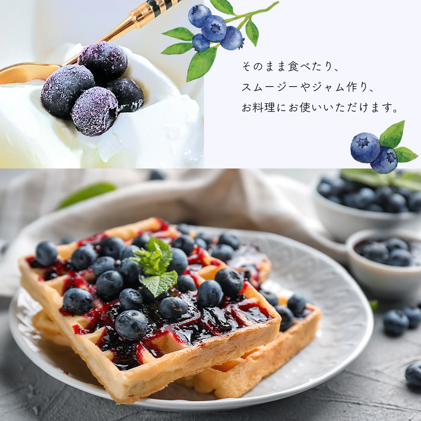 冷凍ブルーベリー (菓子用)｜山口県美祢市
