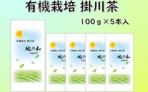 １８９８　発送有機栽培 オーガニック掛川茶 100g×5本入 佐々木製茶 （ 一番茶 浅蒸し オーガニック 有機 掛川茶 静岡 掛川市 小分け 深蒸し掛川茶 500g 人気 佐々木製茶 )   