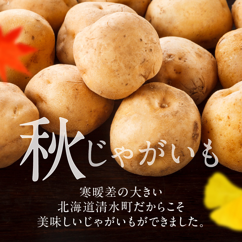 今が旬！すぐ届く！北海道の味覚定番！鮮やかな黄色と甘みが特徴の「キタアカリ」 ホクホク！しっとりなめらか！ 【北海道産 キタアカリ いも じゃがいも きたあかり イモ 約10kg じゃがいも いも 芋