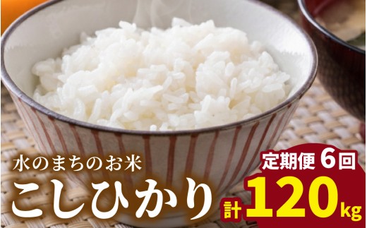 【令和7年産】【6ヶ月定期便】こしひかり 20kg×6回 計120kg（白米）「エコファーマー米」－水のまちのお米－