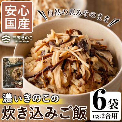 ふるさと納税 阿久根市 濃いきのこの炊き込みご飯の素(2合用×6個) 【三笠えのき茸生産組合】a-12-59