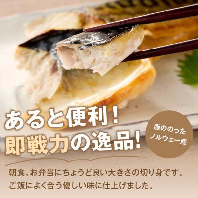 ふるさと納税 飯塚市 骨取り 塩さば切り身 脂ののったノルウェー産サバを便利なサイズの切身!(飯塚市) |  | 02