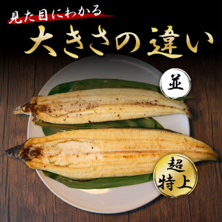KGP045　高知ブランド鰻「西岡うなぎ」《超特上》うなぎの蒲焼き・白焼き2尾セット（約440g） オリジナルタレ・山椒付き 国産 ウナギ 鰻 冷凍配送 高知県産 うな重 丼 特大 自宅用 家庭用