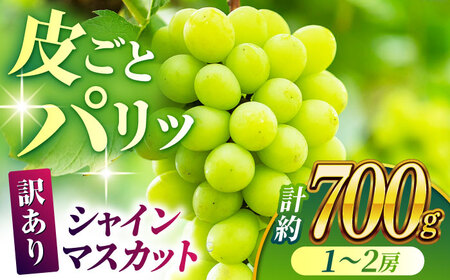 【先行予約】【訳あり】 シャインマスカット 約700g(1?2房)  マスカットフルーツ 果物 ぶどう【合同会社 社方園】[ZBZ027]