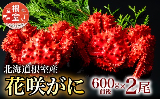 
                  B-20001  【北海道根室産】花咲がに600g×2尾[8月上旬以降発送]
                