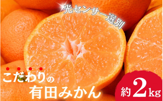 【2024年11月発送予約分】＼光センサー選別／農家直送 こだわりの有田みかん 約2kg＋250g(傷み補償分) 【ご家庭用】【11月発送】みかん ミカン 有田みかん 温州みかん 柑橘 有田 和歌山 ※北海道・沖縄・離島配送不可/みかん ミカン 有田みかん 温州みかん 柑橘 有田 和歌山 産地直送【nuk159-1B】