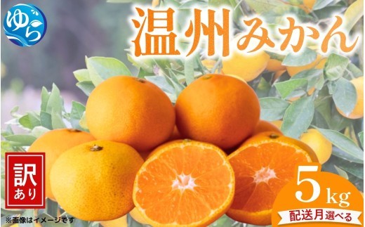
                  【先行予約】＼選べる配送月／ （訳あり）温州みかん 5kg 【11月出荷 or 12月出荷】/ みかん ミカン 和歌山県 柑橘  甘い 蜜柑 フルーツ 果物 くだもの 食品  産地直送 由良町 ご家庭用 温州 温州ミカン 【kwgc003-cho】
                