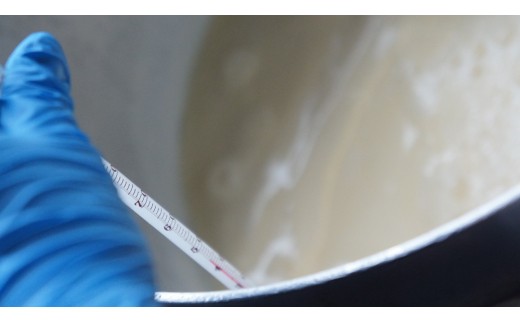 こだわり卵の高浜プリン8個＆自家製生麺（生パスタ）4食分