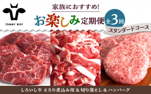 【牧場直送】【3回定期便】しろいし牛 家族向け お楽しみ 定期便（スタンダードコース）【佐賀セントラル牧場】佐賀県産 牛肉 お肉 肉 ハンバーグ 切り落とし 炒め物 贅沢 九州 佐賀県 白石町  白石 [IAH209]