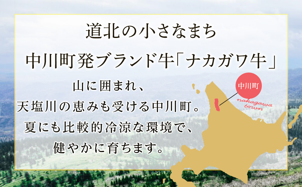 ナカガワ牛ランプ 100g×10 計1000g