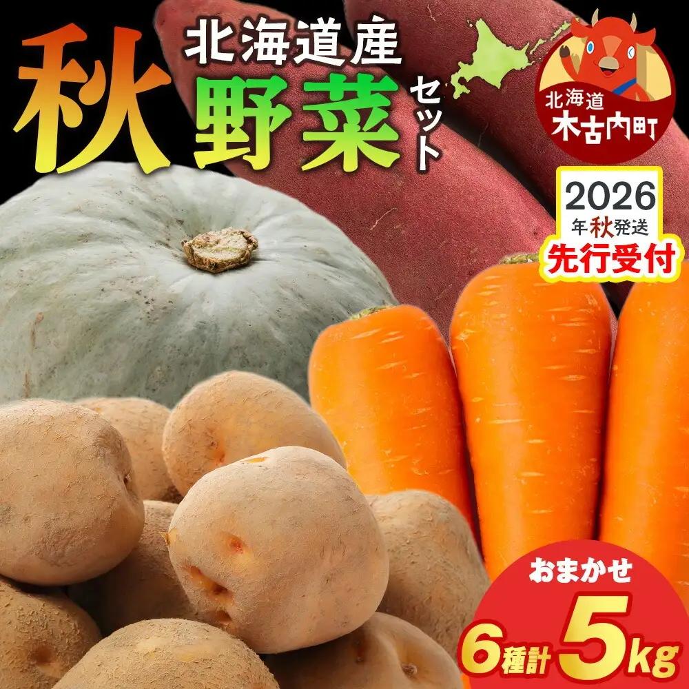 【2026年10月上旬以降順次発送】秋野菜 詰め合わせ 6種 計5kg　サツマイモ かぼちゃ じゃがいも にんじん 他おたのしみ
