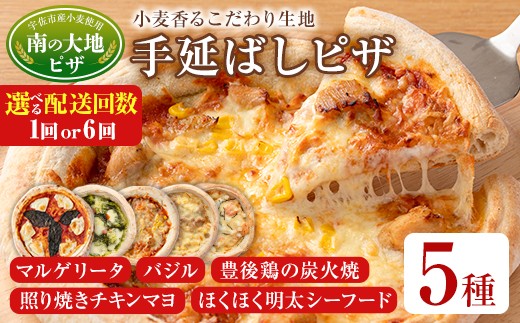 
            ＜配送回数が選べる！＞南の大地ピザ Bセット(合計5枚×1回・毎月6回)ピザ イタリアン 冷凍 お祝い パーティー 惣菜 こだわり セット 定期便【102100200・202100200】【スターフーズ】
          