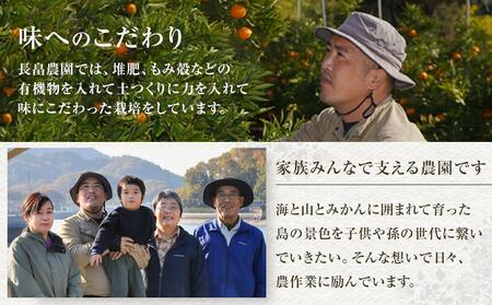 柑橘の王様　大玉・濃厚な不知火（しらぬい）3ｋｇ　＜2025年3月中旬より発送開始＞