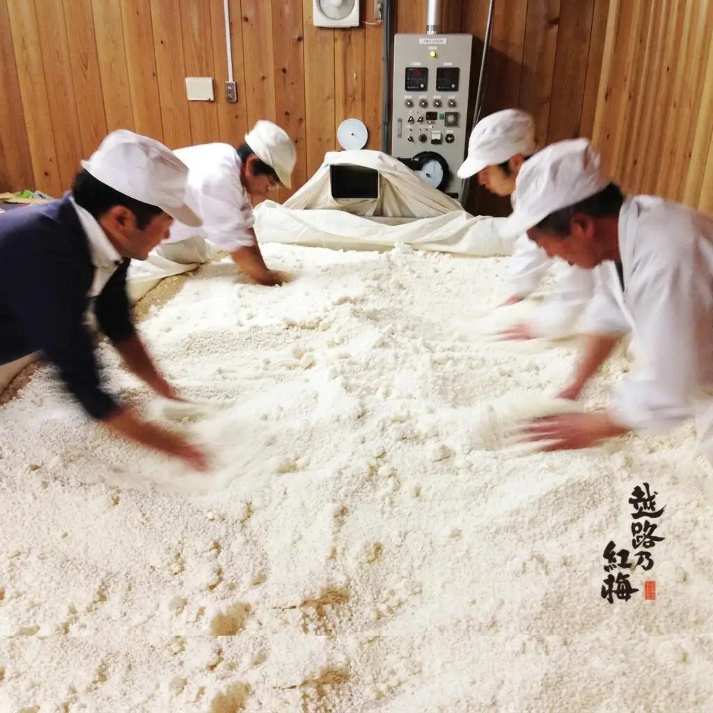 日本酒 越路乃紅梅　純米　720ml お酒 新潟 上越
