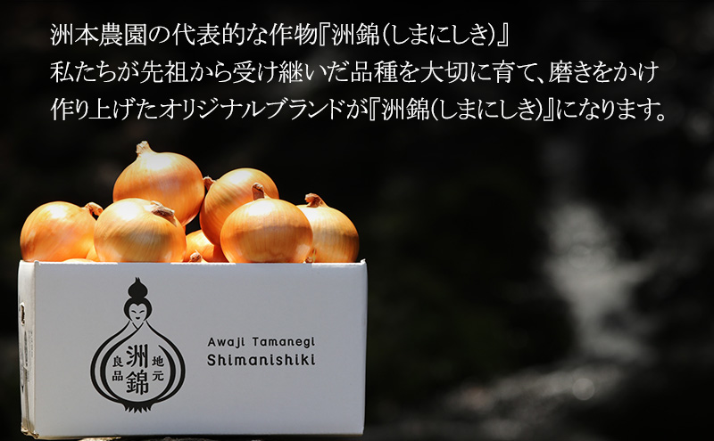 【予約受付】10kg★新玉ねぎ★オリジナルブランド玉葱『洲錦（しまにしき）商標登録商品』 玉ねぎ タマネギ 兵庫県 洲本市 淡路島