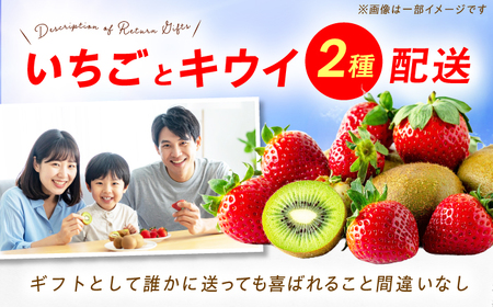 フルーツ詰合せ（あまおうDX 2パック＆キウイ12個） / 果物 くだもの [AFAB087]