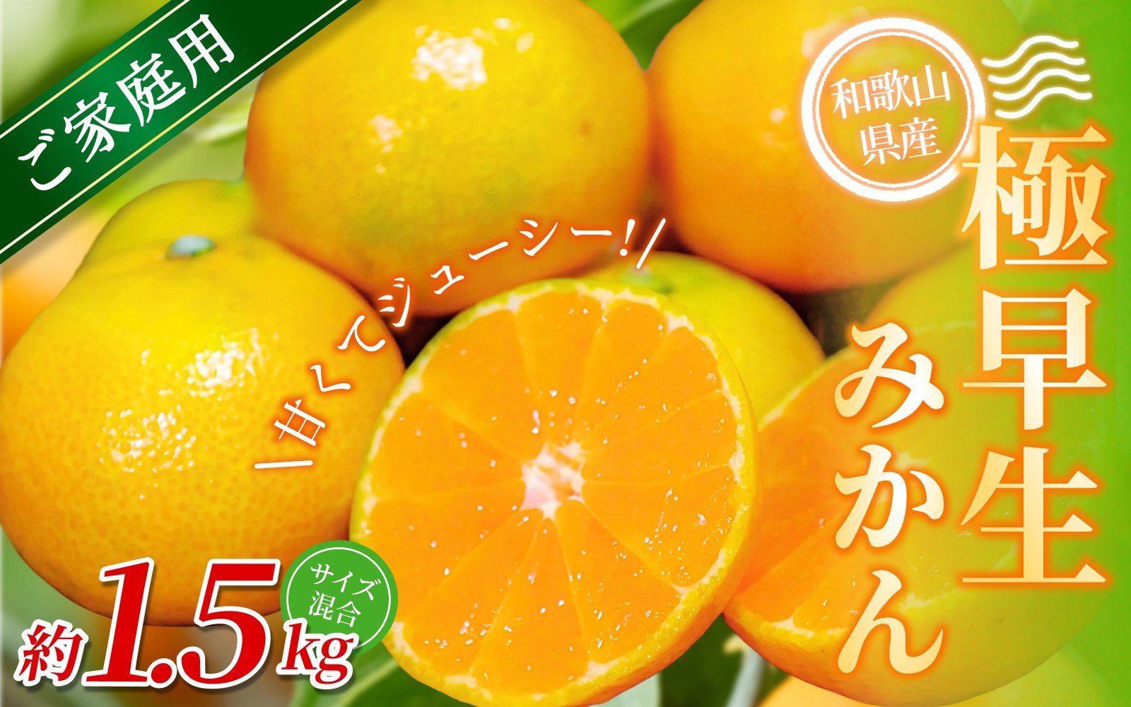 
            【家庭用】 森本農園の手選別 極早生みかん 約1.5kg 和歌山県産 2S~2Lサイズ混合 【北海道・沖縄・離島配送不可】【2025年10月上旬～下旬頃に順次発送】【RN1】
          
