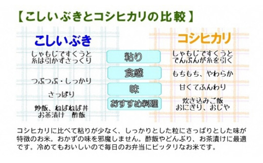 【2026年12月初回発送】令和8年産新米予約【定期便】プロが認めたうまい米『こしいぶき』定期便5㎏×3回 計15㎏ 新潟県糸魚川産 農家直送 おいしいお米をお届けします 2026年産 毎月お届け【米