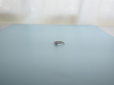 【ANNEREGARD】Pt Forget-me-not Ring  エンゲージリング
